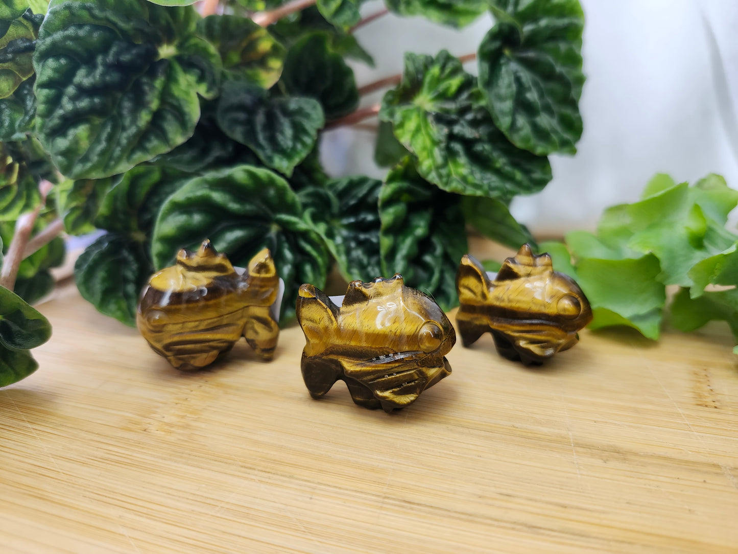 TIGER'S EYE MAGIKARP