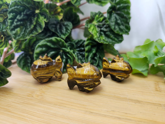 TIGER'S EYE MAGIKARP