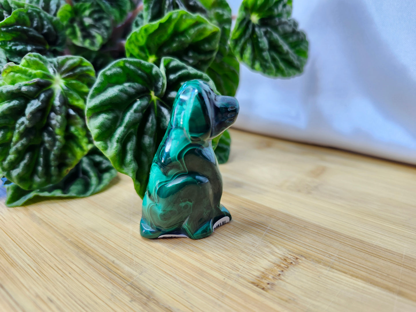 MALACHITE DOG