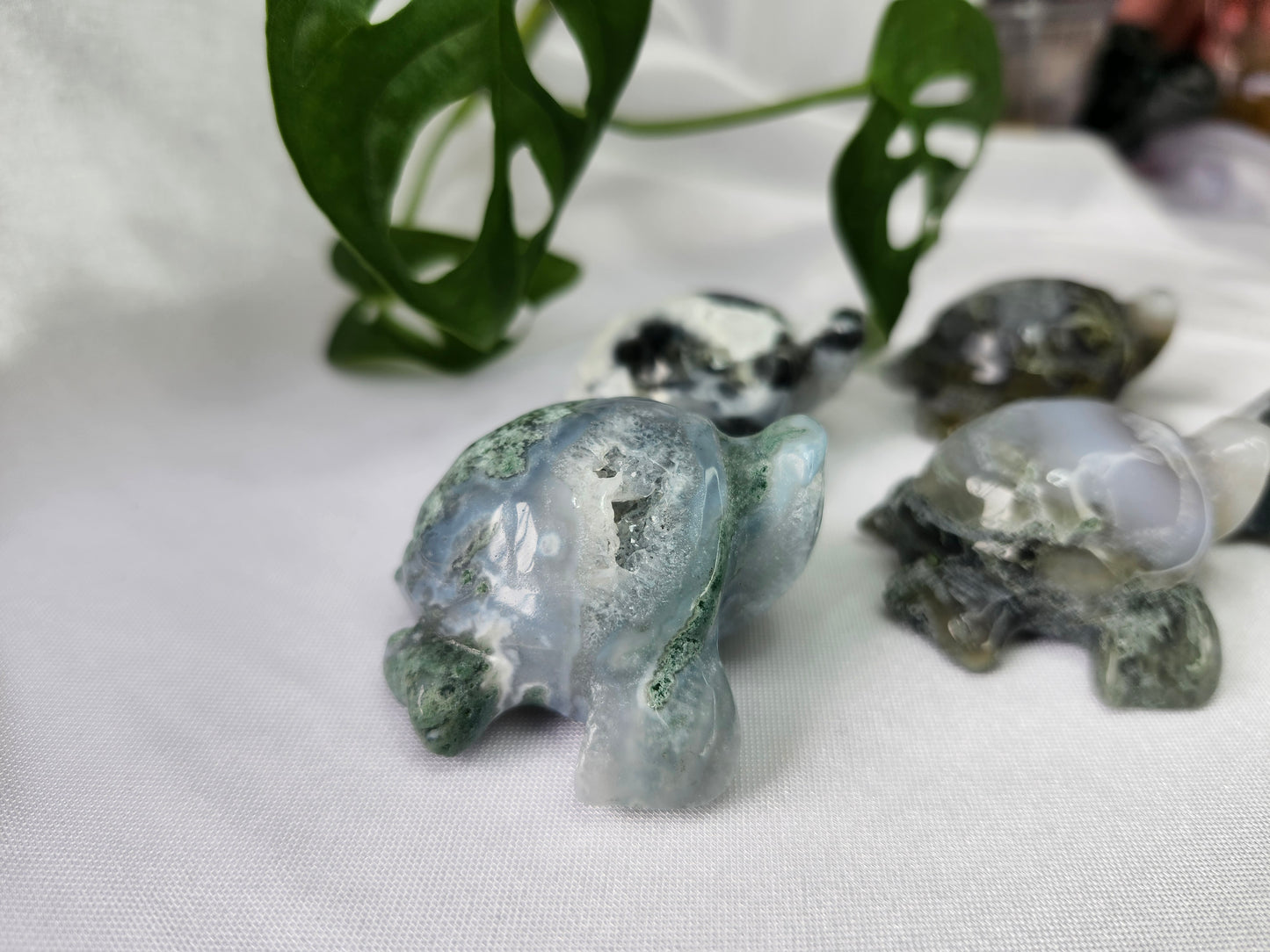 MOSS AGATE TURTLE