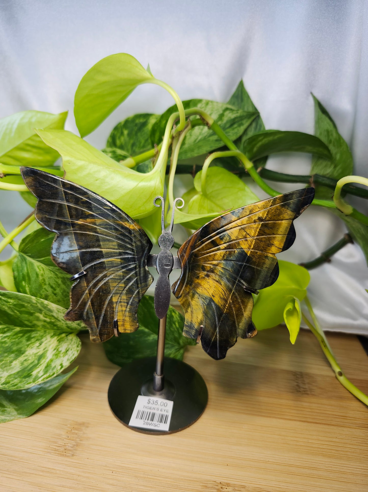 TIGER'S EYE BUTTERFLY WINGS