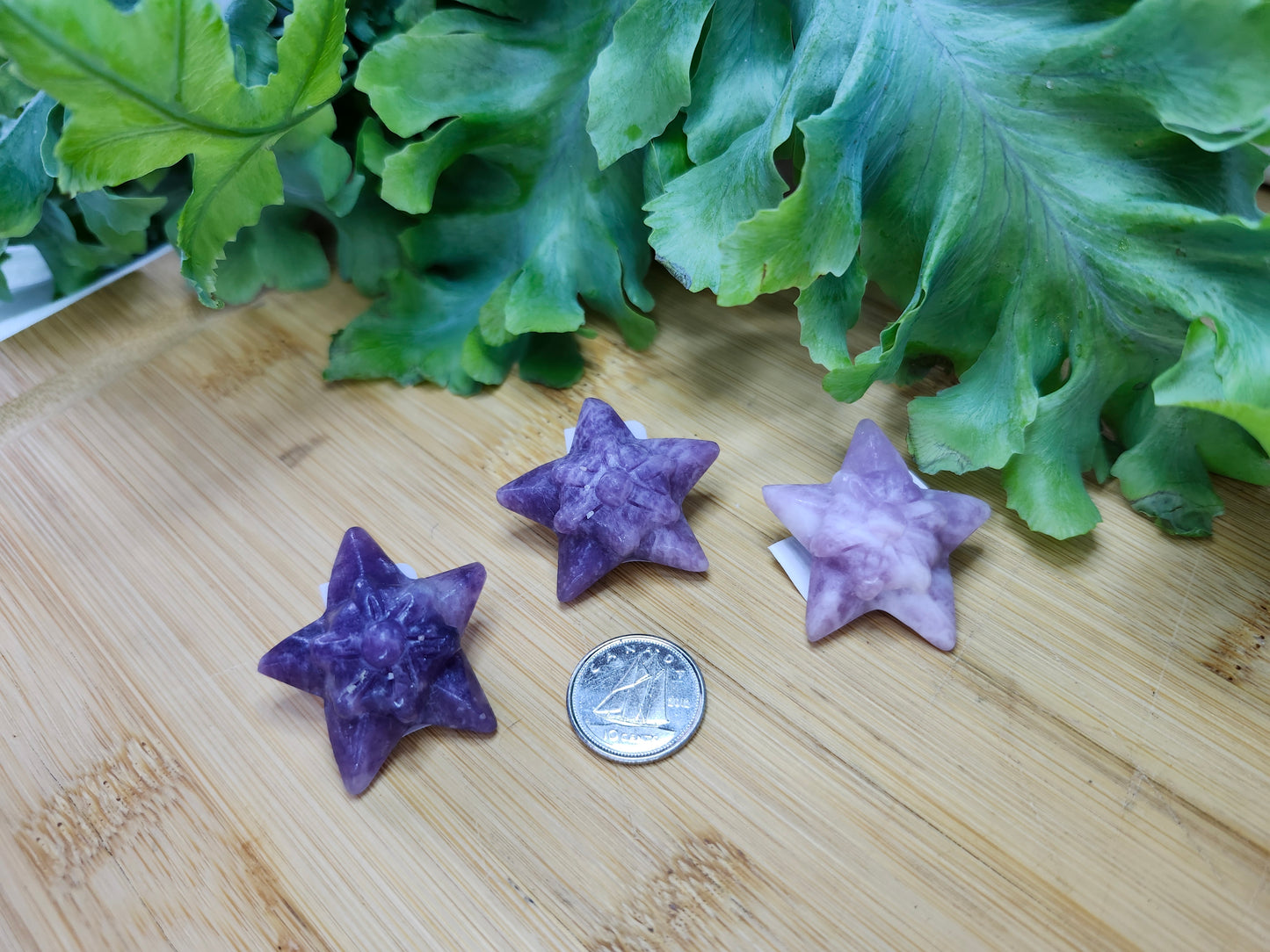 LEPIDOLITE STARYU