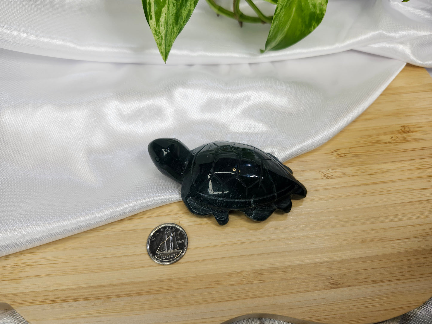 MOSS AGATE SEA TURTLE