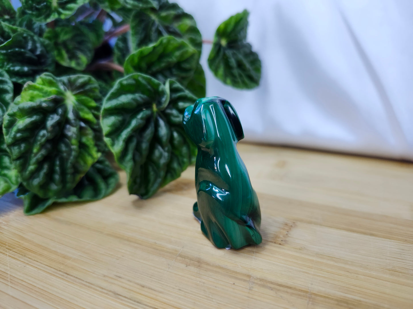 MALACHITE DOG