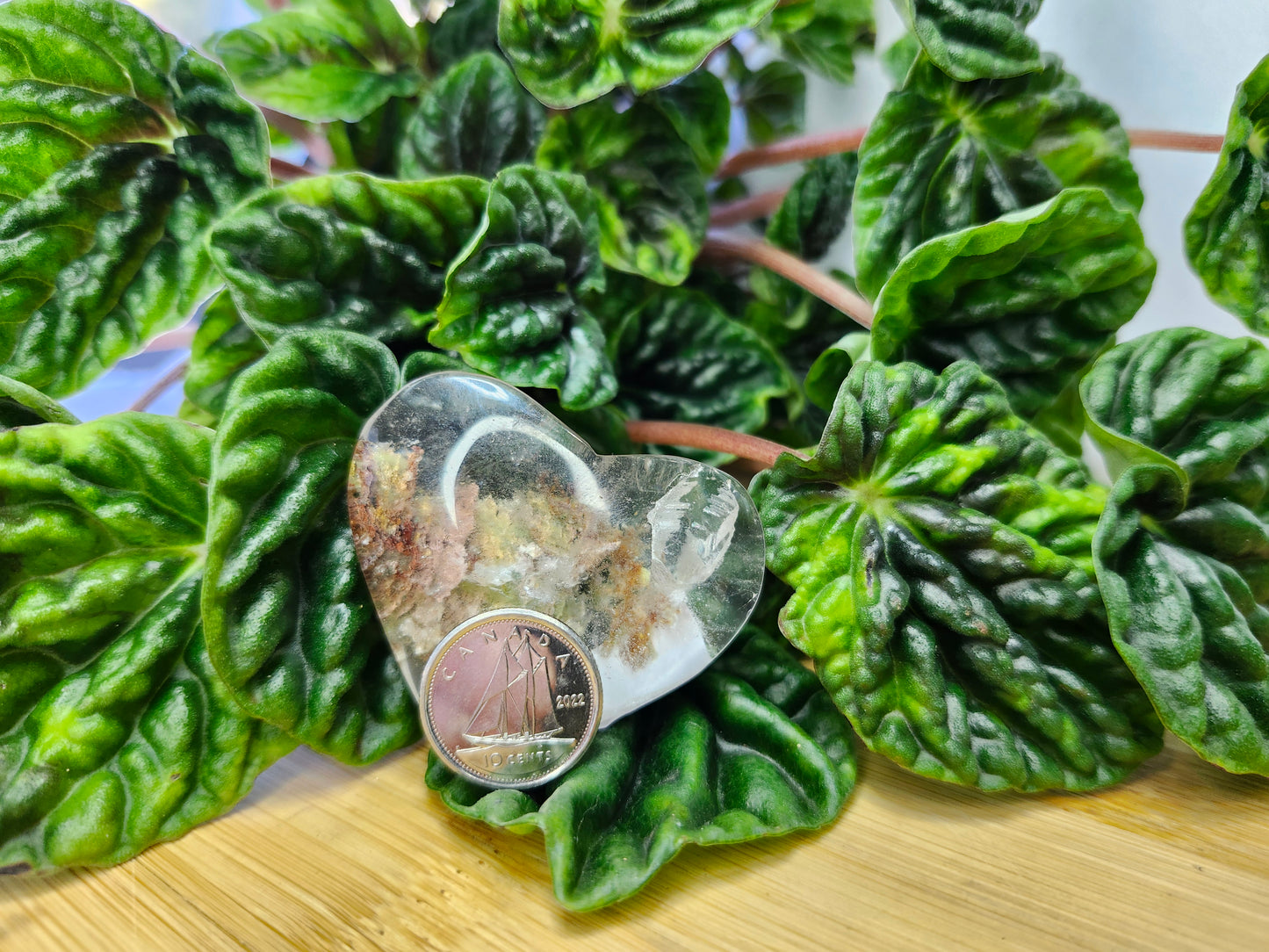 GARDEN QUARTZ HEART
