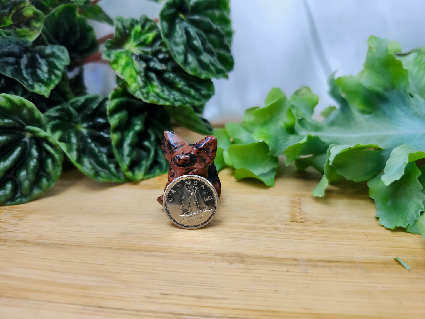 MAHOGANY OBSIDIAN FLAREON