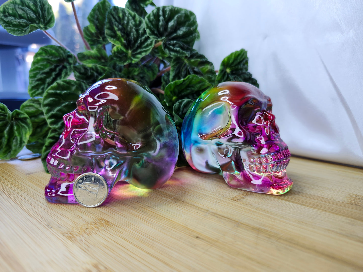 FAIRY GLASS SKULL