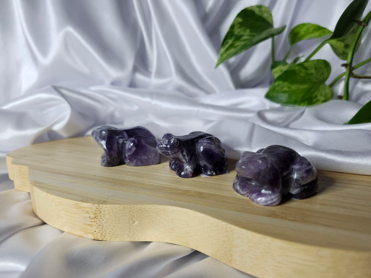AMETHYST FROG