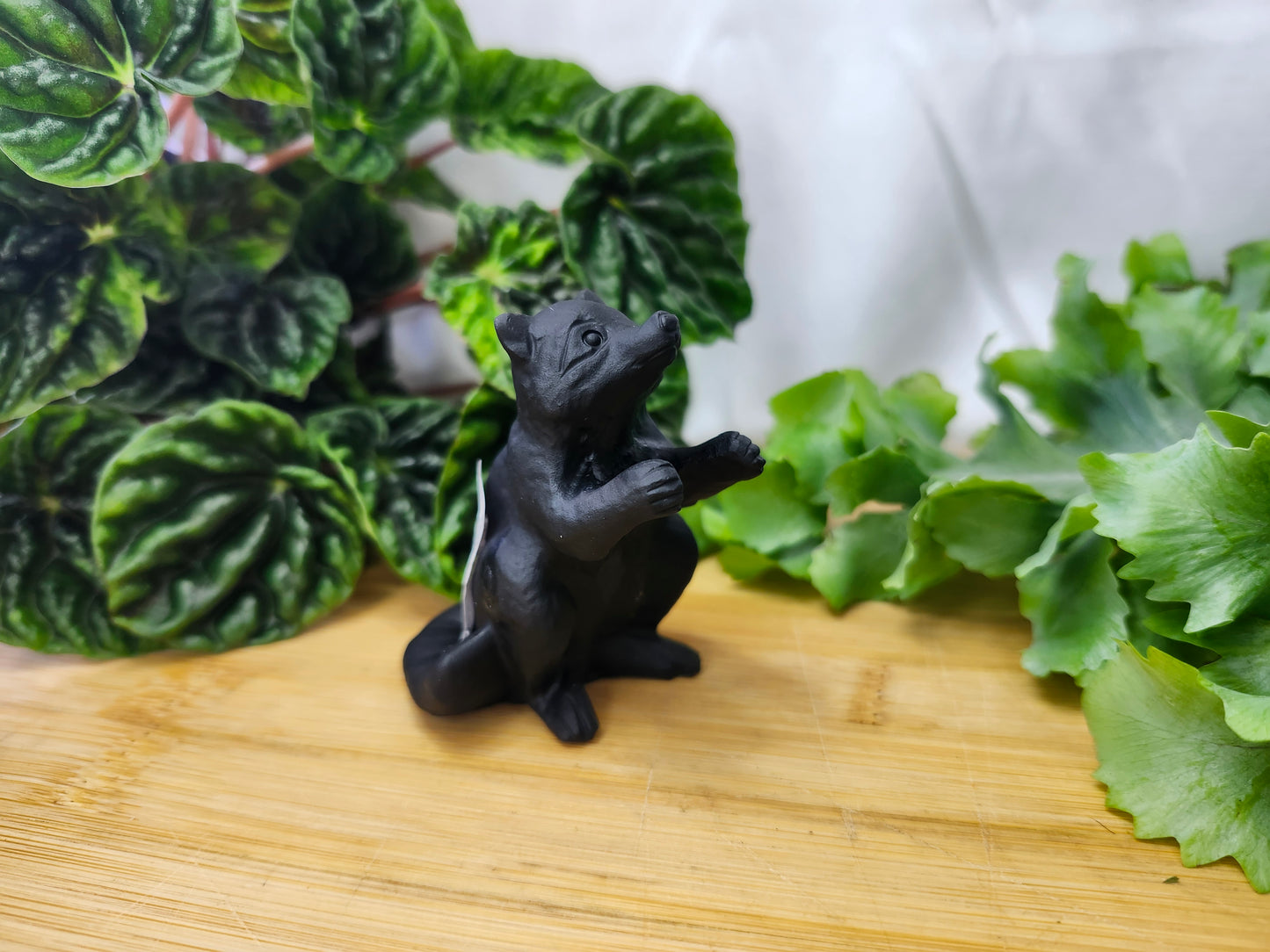 OBSIDIAN RACCOON