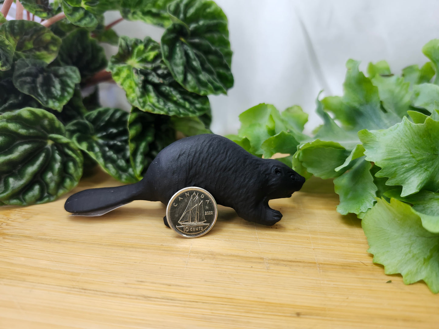 OBSIDIAN BEAVER