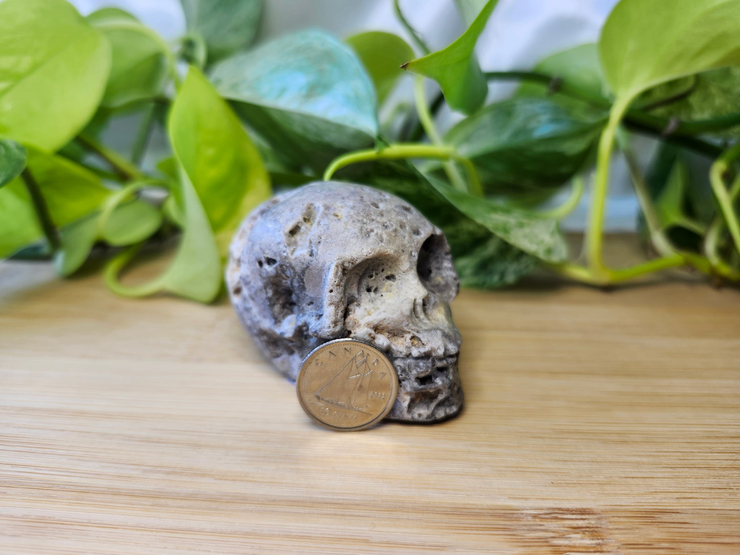 SPHALERITE SKULL