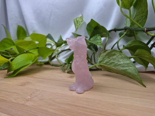 ROSE QUARTZ SCOOBY DOO