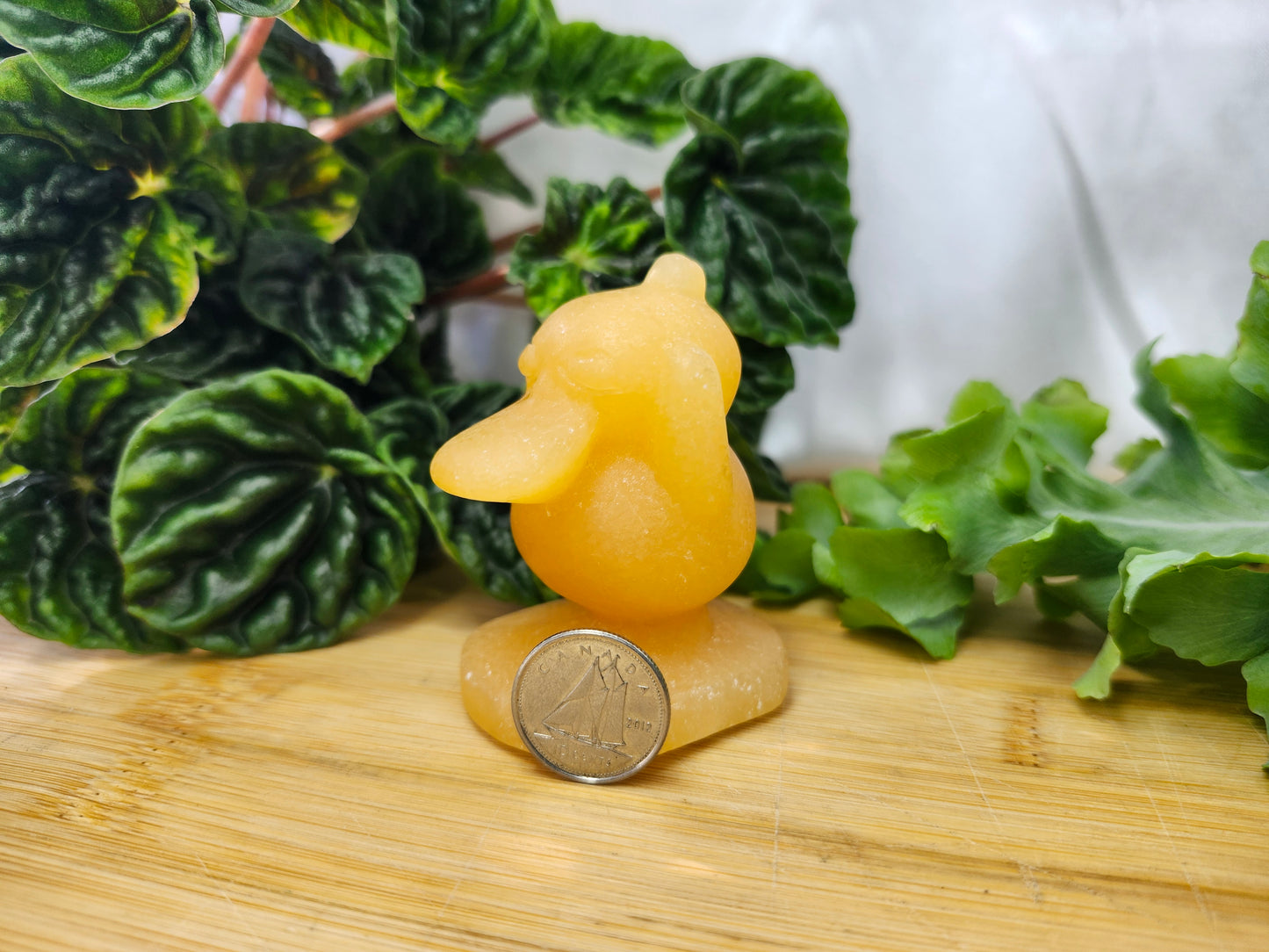 ORANGE CALCITE PSYDUCK