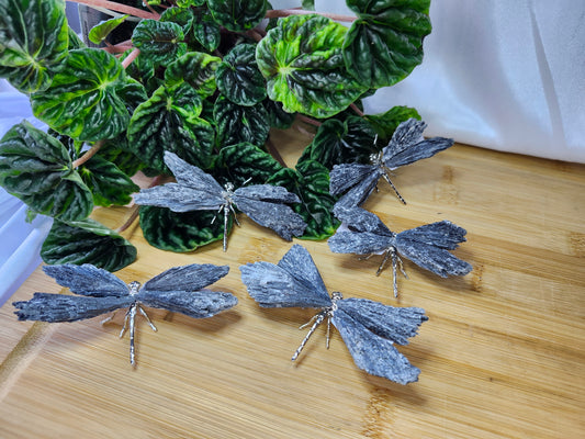 BLACK KYANITE DRAGONFLY SM