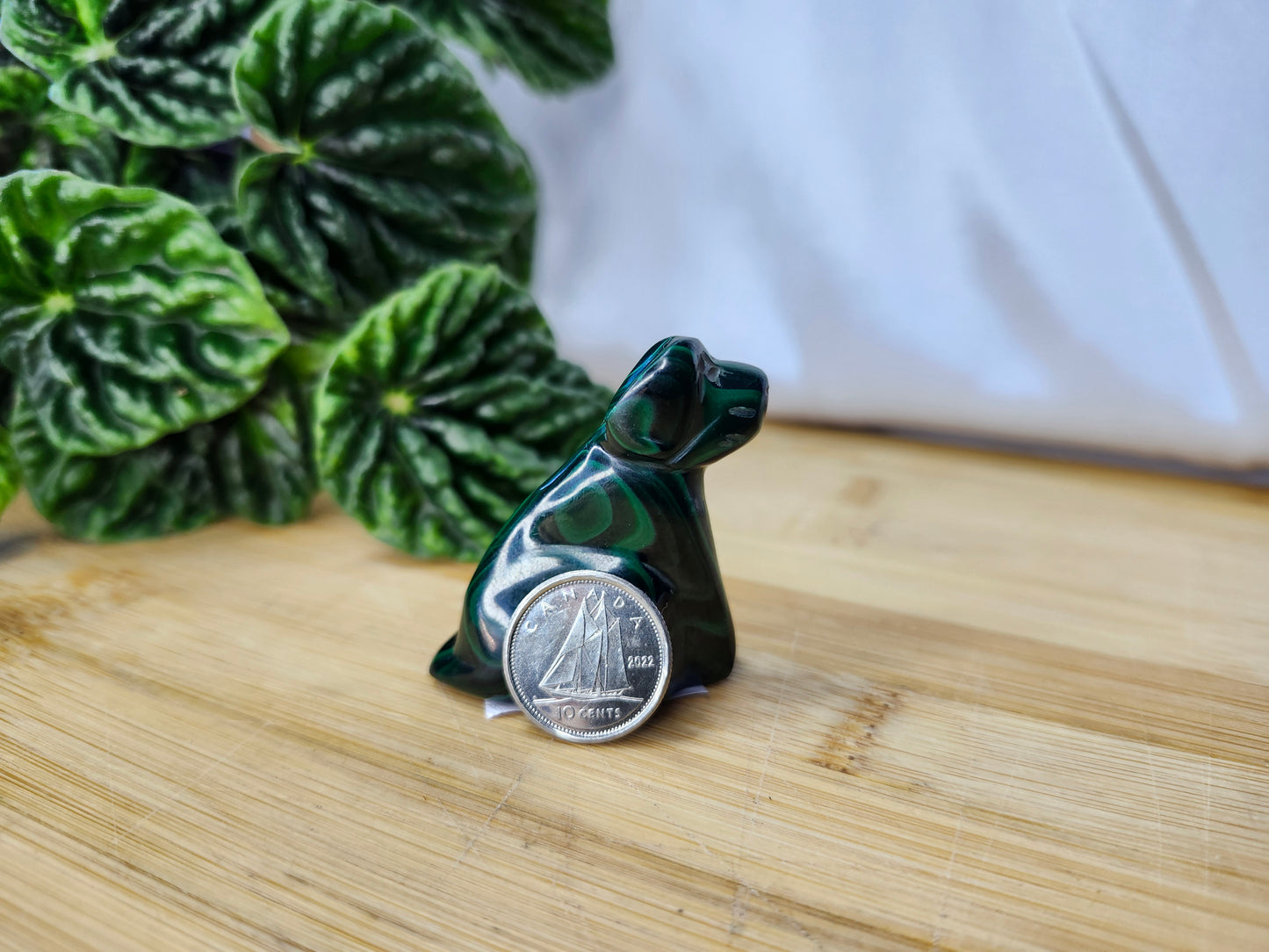 MALACHITE DOG