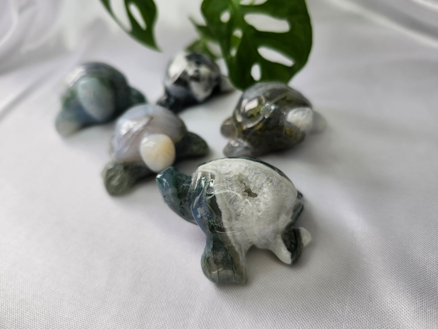 MOSS AGATE TURTLE