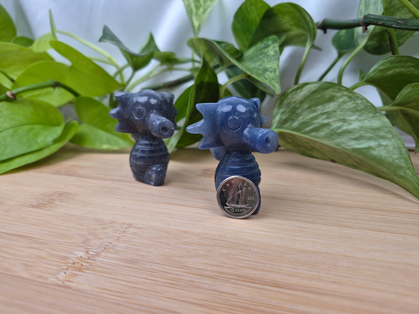 BLUE AVENTURINE HORSEA