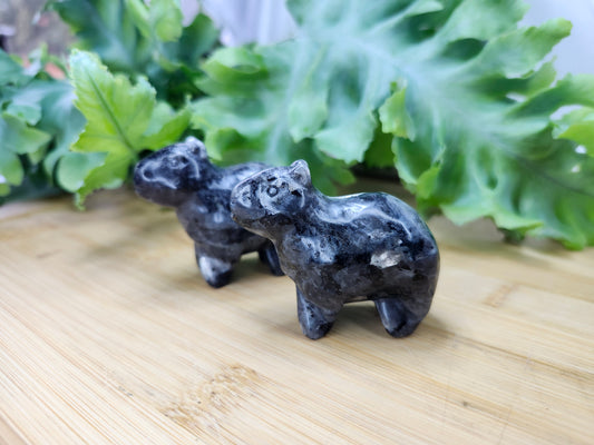 LARVAKITE CAPYBARA