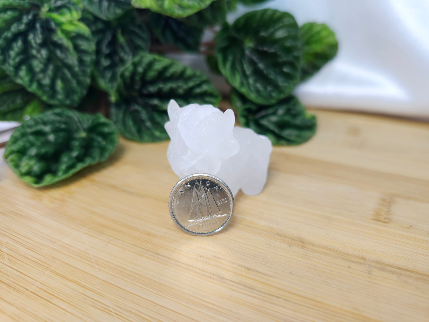 QUARTZ HIGHLAND COW