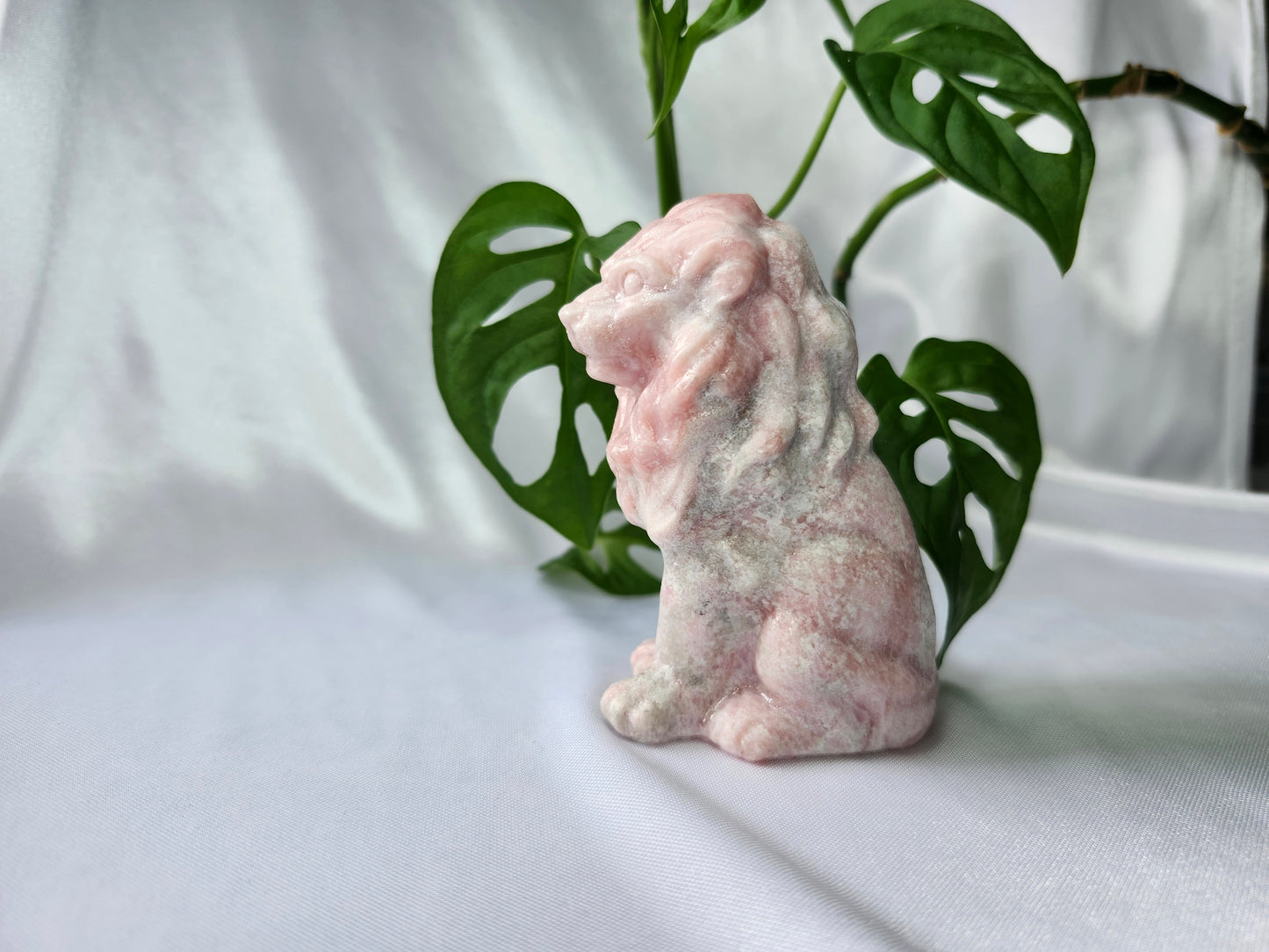 PINK OPAL LION