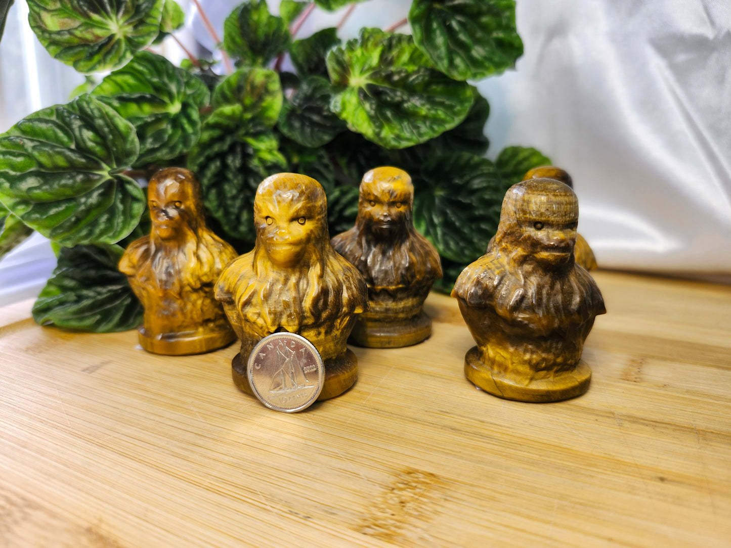 TIGER'S EYE CHEWIE