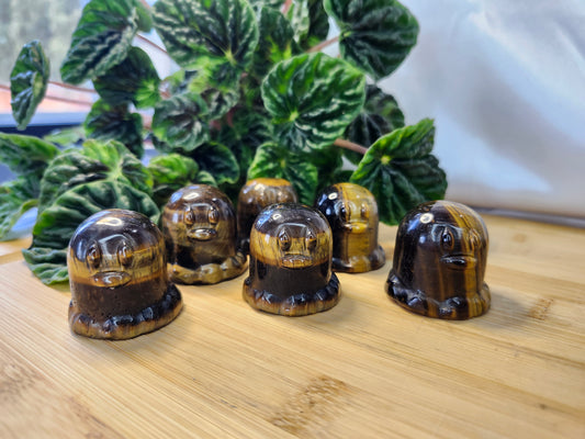 TIGER'S EYE DIGLET