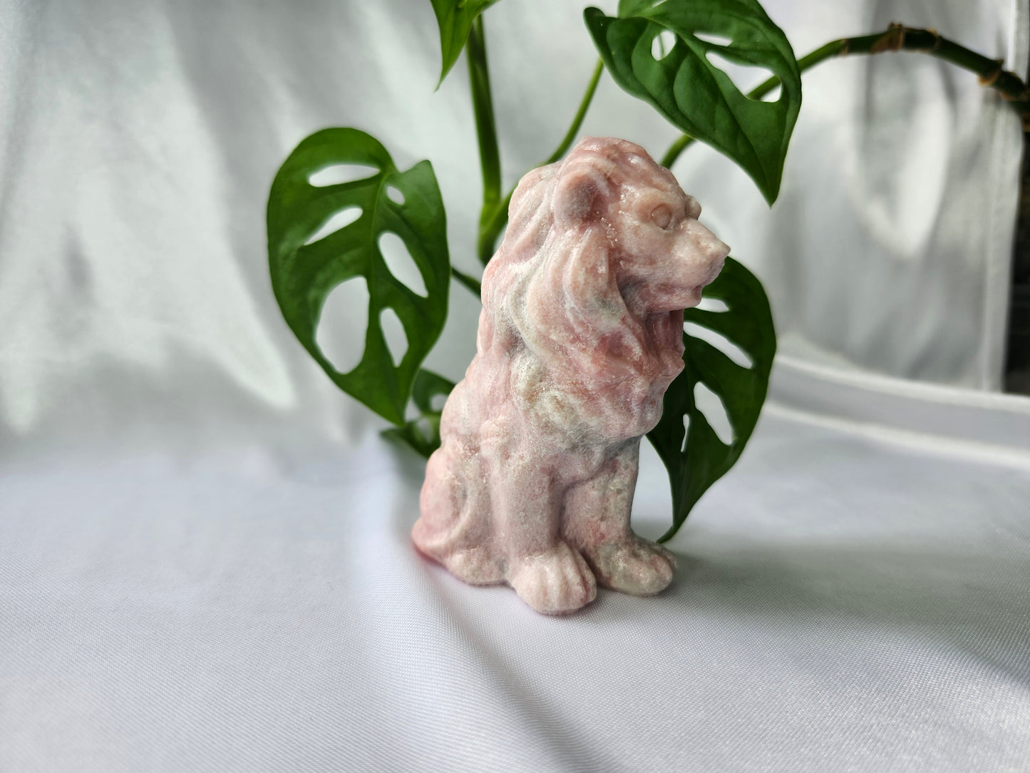 PINK OPAL LION