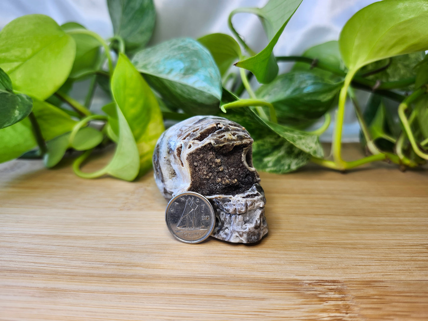 SPHALERITE SKULL