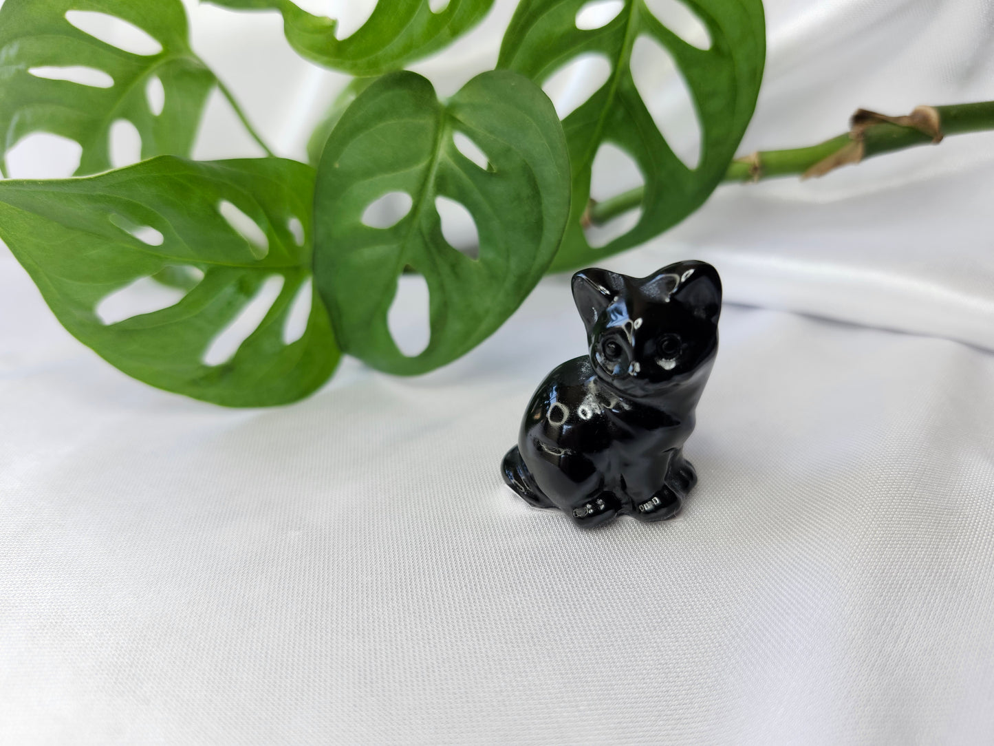 OBSIDIAN SM SITTING CAT