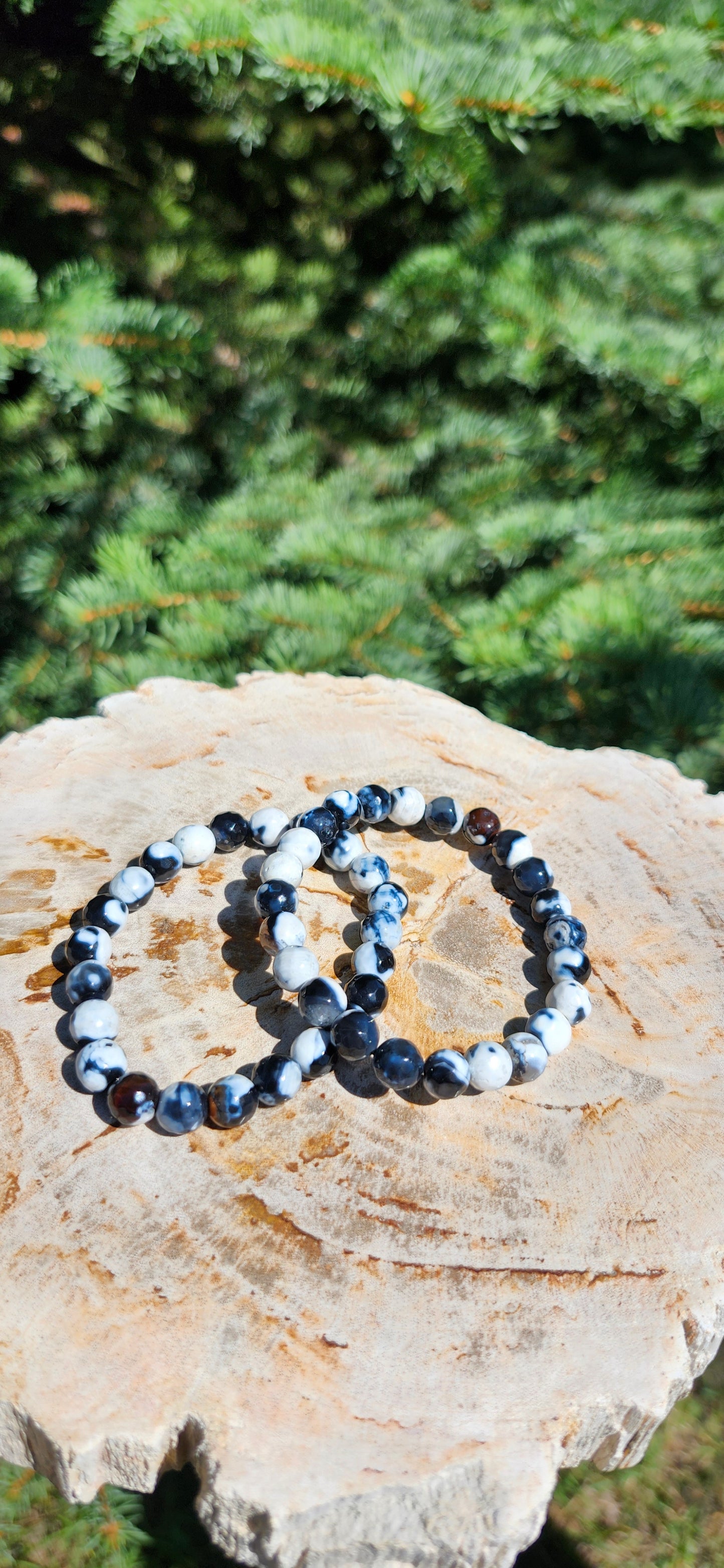 8mm ORCA AGATE BRACELET