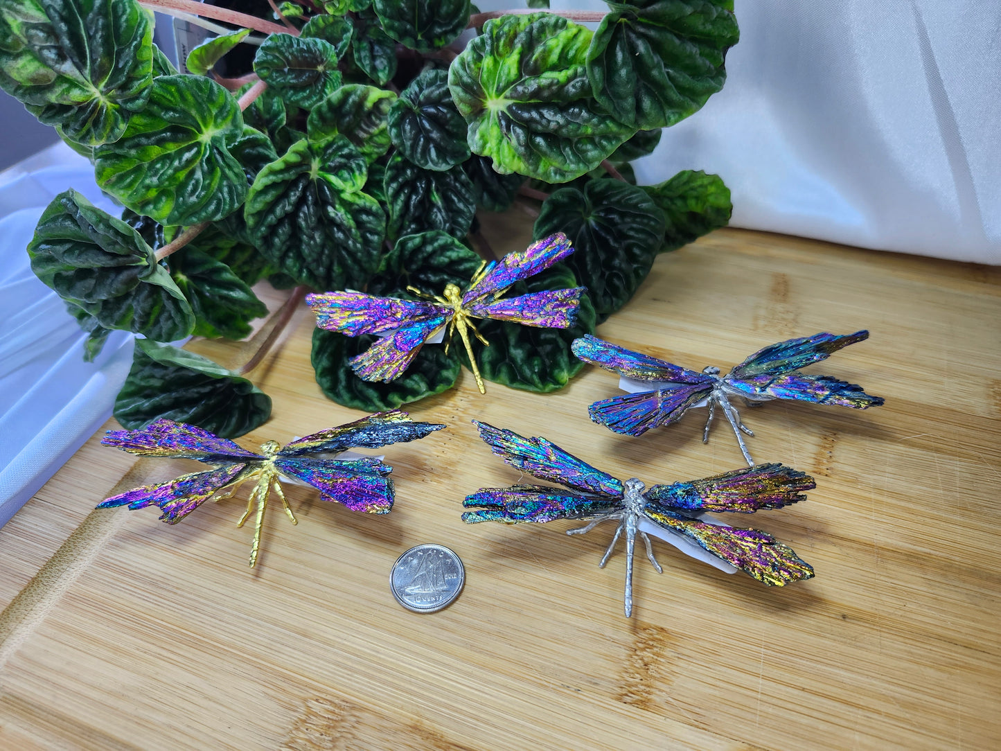 ELECTROPLATED BLACK KYANITE DRAGONFLY SM