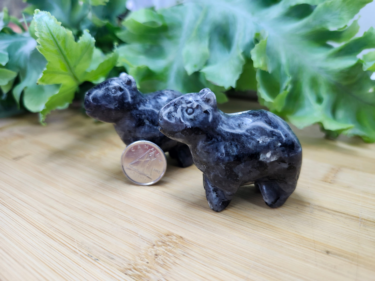 LARVAKITE CAPYBARA