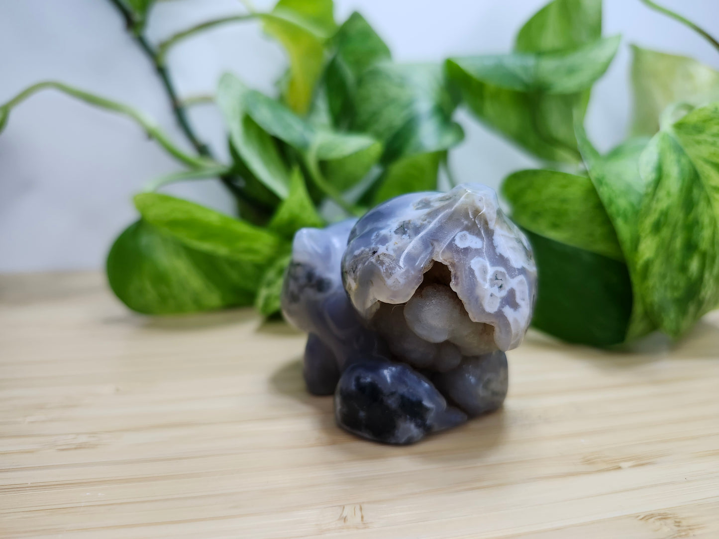 MOSS AGATE BULBASAUR LG