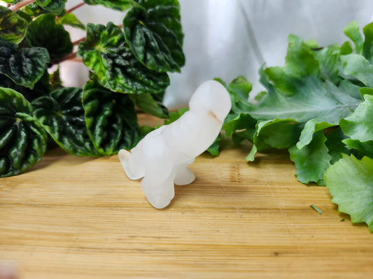 QUARTZ DICK-A-SAURUS