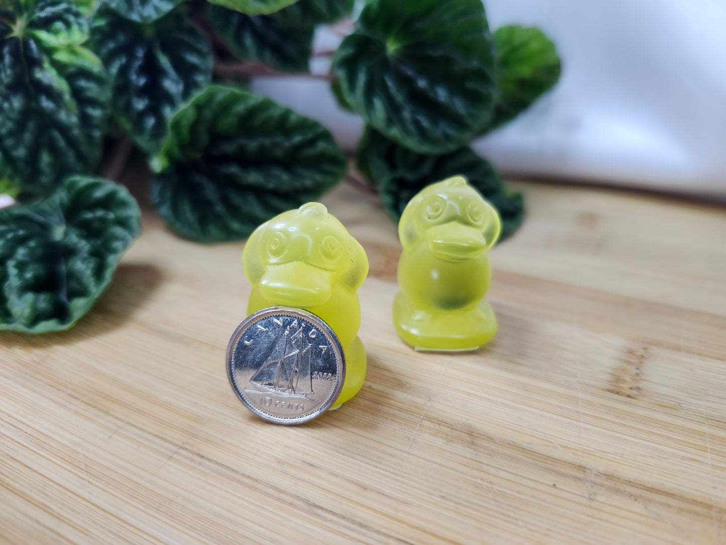 CATS EYE POKEMON CARVINGS