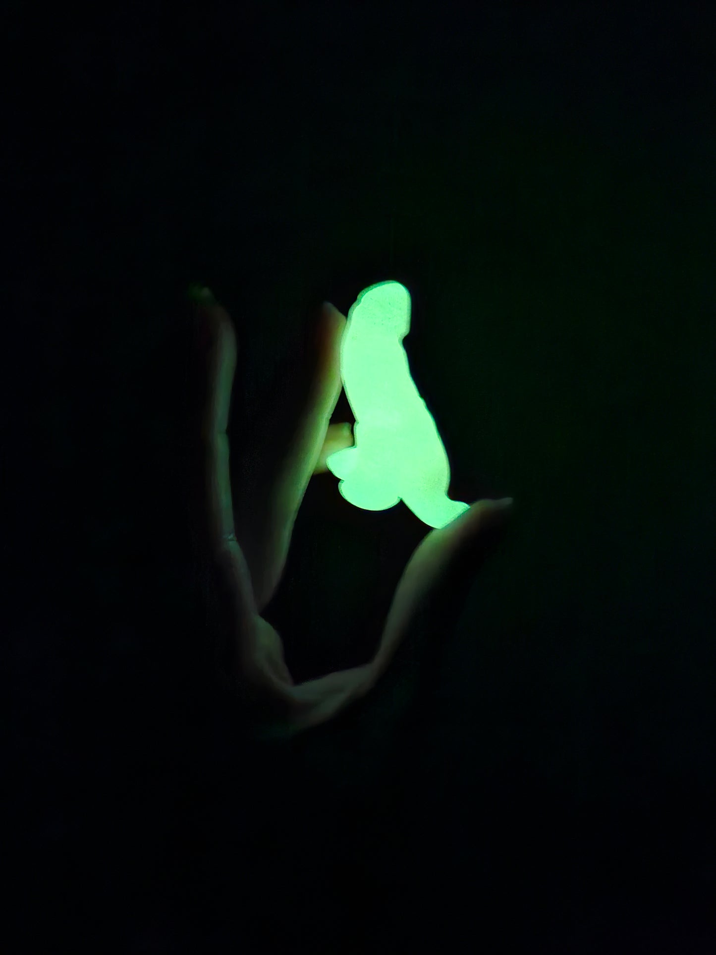 GLOW STONE DICK-A-SAURUS