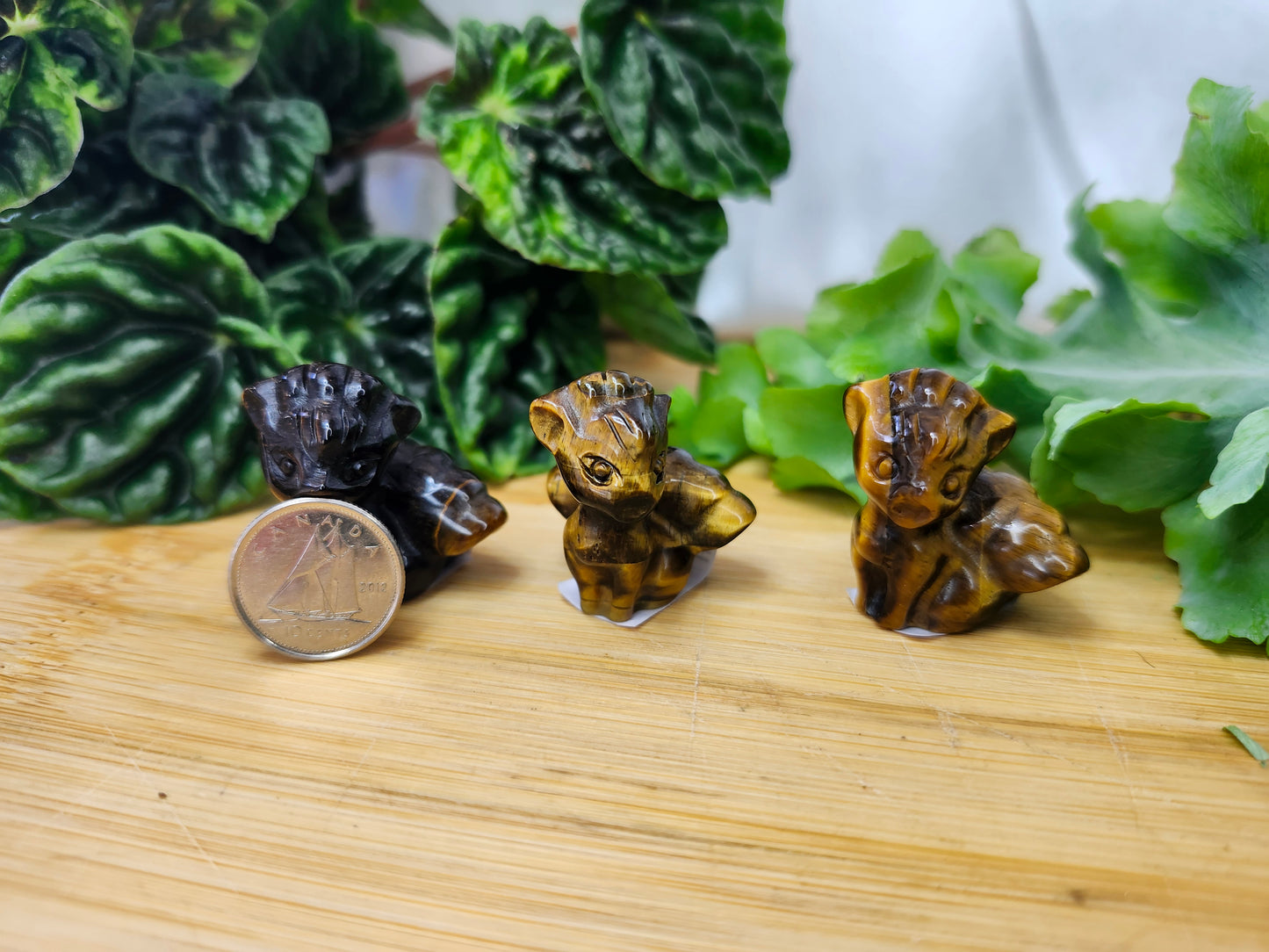 TIGER'S EYE NINE TAILS