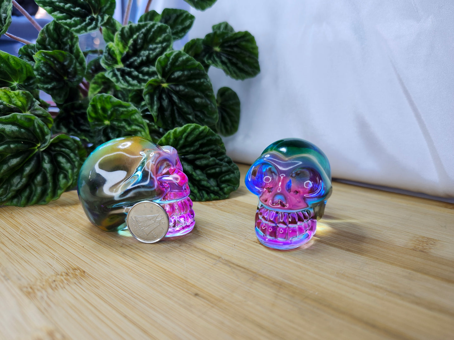 FAIRY GLASS SKULL