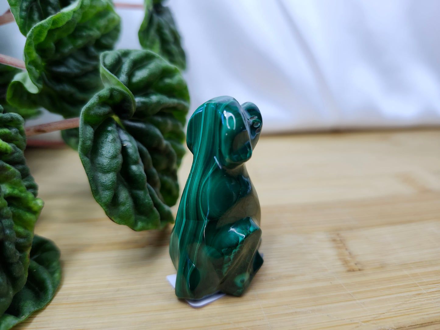 MALACHITE DOG
