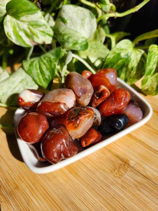 CARNELIAN AGATE TUMBLED STONE