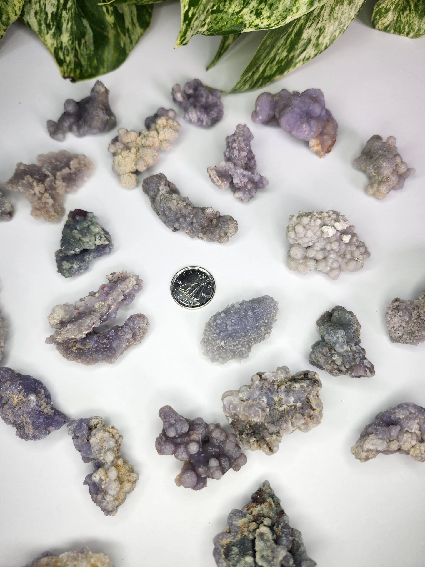 GRAPE AGATE  ROUGH STONES