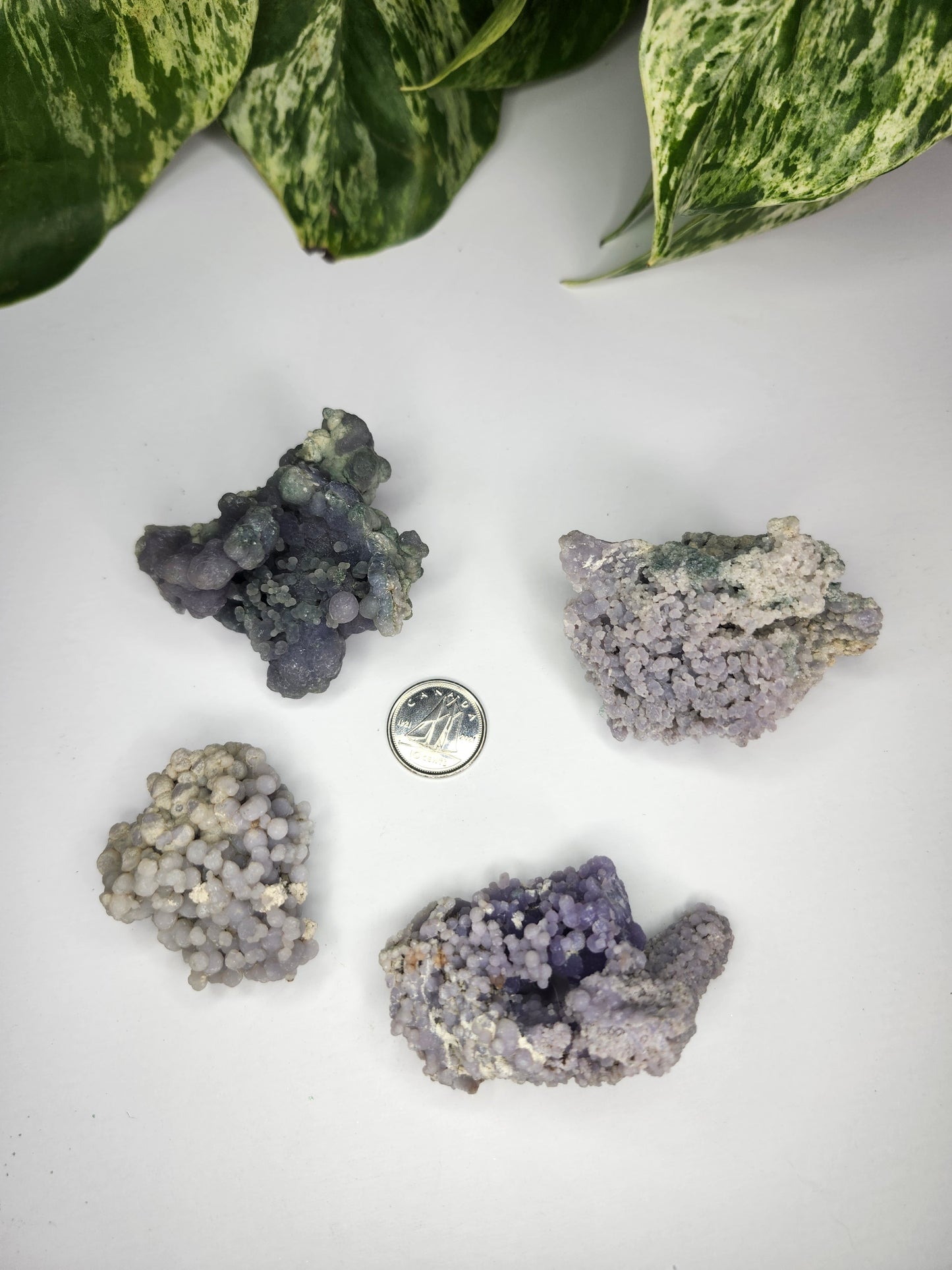 GRAPE AGATE  ROUGH STONES