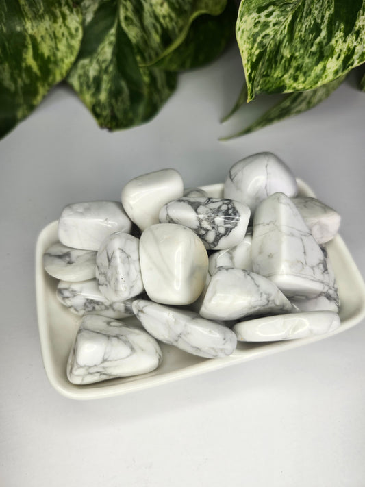 HOWLITE TUMBLE STONES