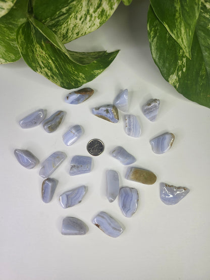 BLUE LACE AGATE TUMBLED STONE