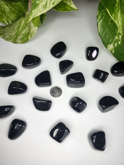 BLACK OBSIDIAN TUMBLED STONES