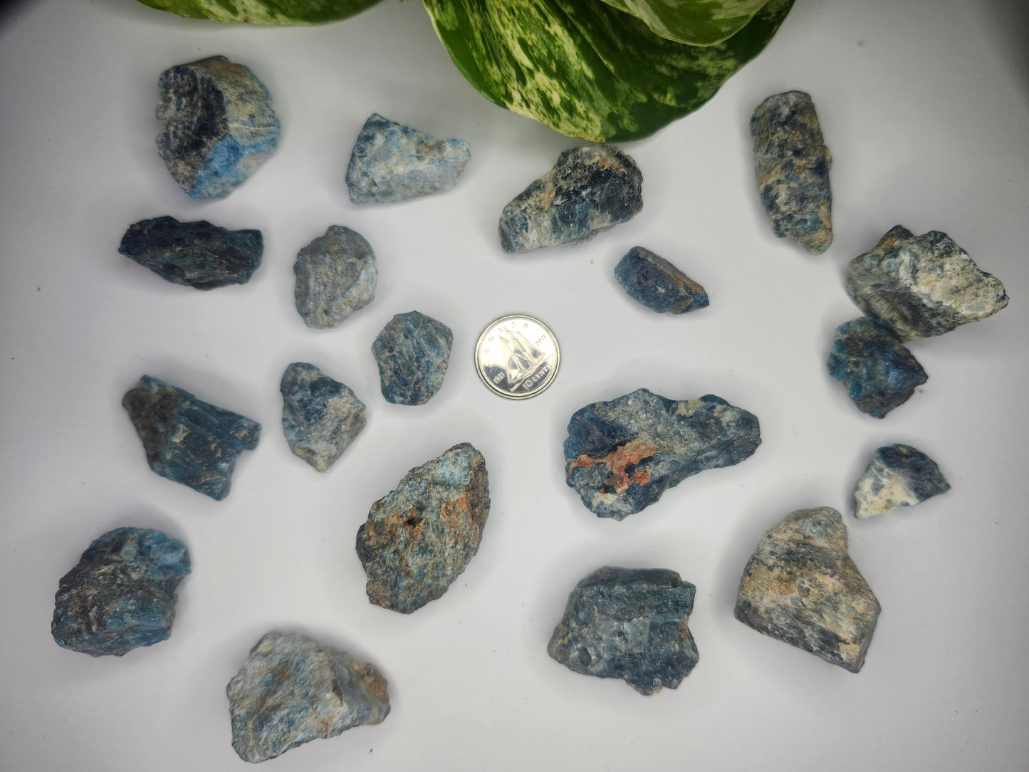 BLUE APATITE ROUGH STONE