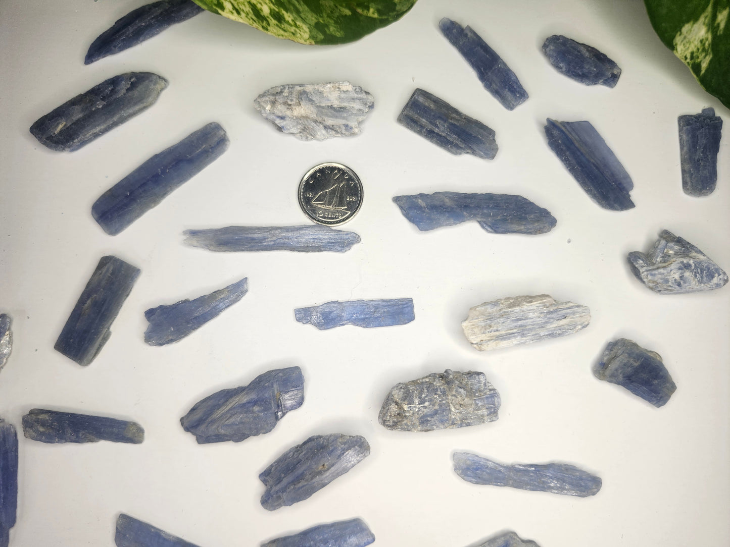 BLUE KYANITE ROUGH STONE