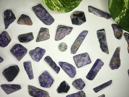 CHAROITE TUMBLED STONES