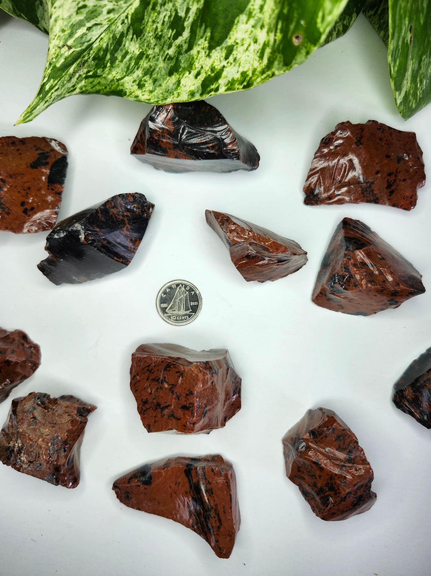 MAHOGANY OBSIDIAN