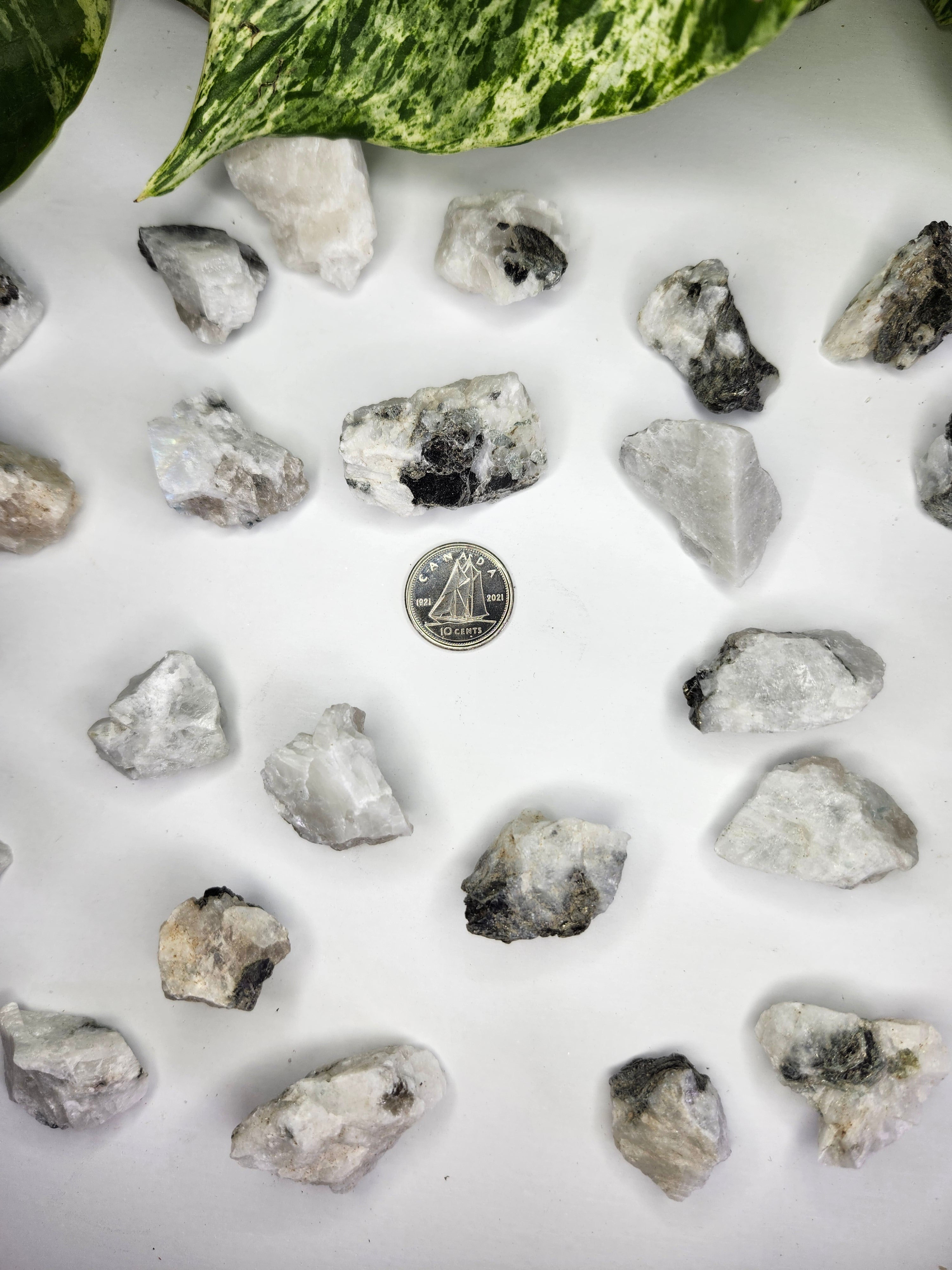 MOONSTONE ROUGH STONE